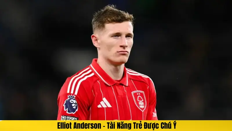 Elliot Anderson – Tài Năng Trẻ Được Chú Ý
